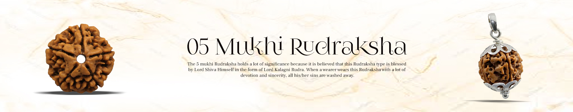 5 Mukhi Rudraksha