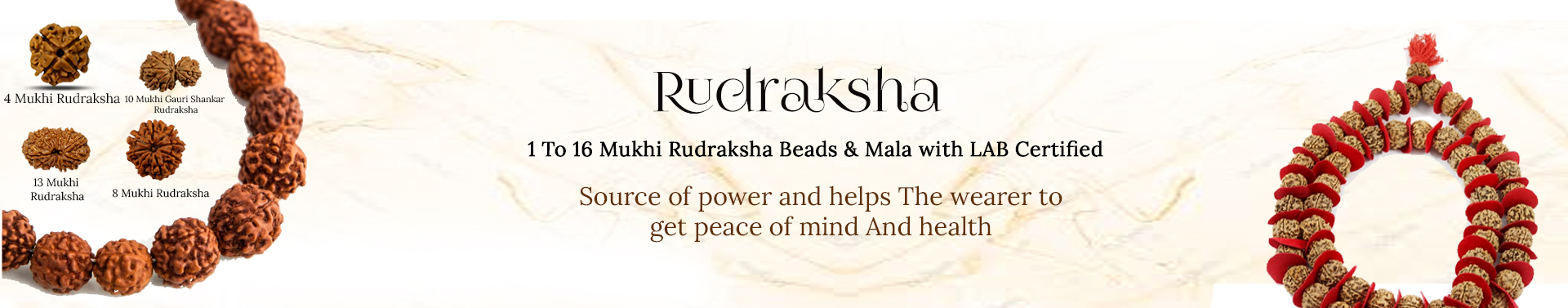 Rudraksha