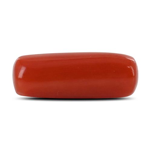 Red Coral (Moonga) - 5.64 Carat 