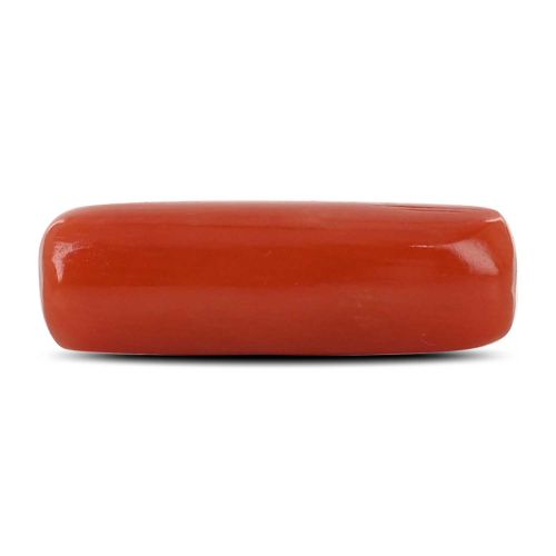 Red Coral (Moonga) - 5.25 Carat 