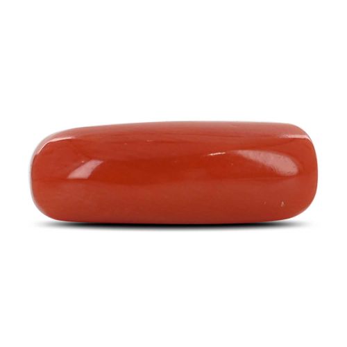 Red Coral (Moonga) - 5.23 Carat 