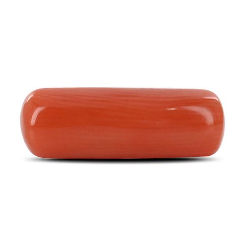 Red Coral (Moonga) - 5.79 Carat 