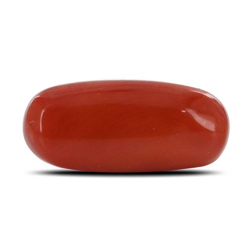 Red Coral (Moonga) - 7.12 Carat 