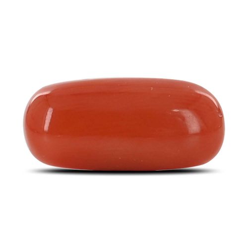 Red Coral (Moonga) - 6.56 Carat 