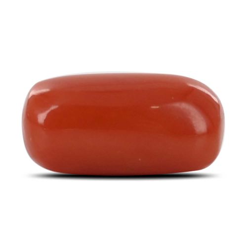 Red Coral (Moonga) - 6.15 Carat 