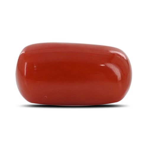 Red Coral (Moonga) - 5.28 Carat 