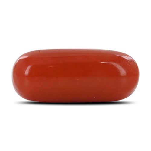 Red Coral (Moonga) - 5.48 Carat 