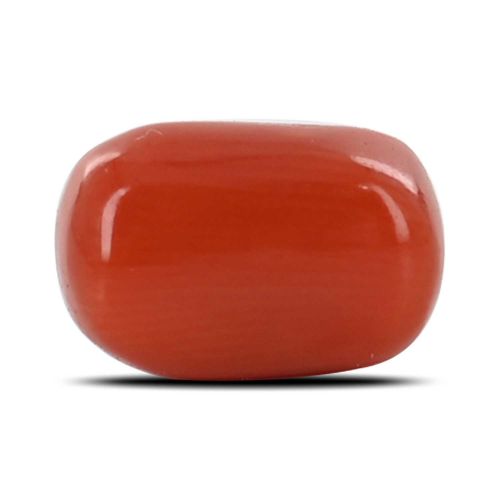 Red Coral (Moonga) - 3.02 Carat 