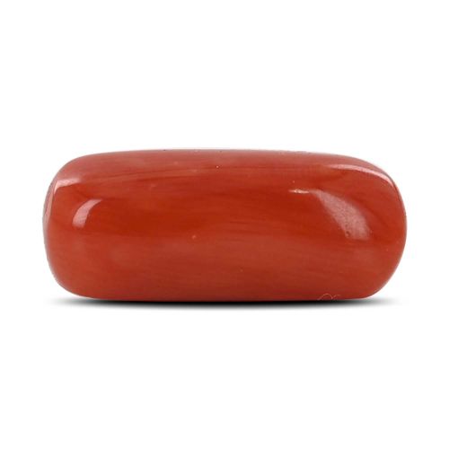 Red Coral (Moonga) - 6.92 Carat 