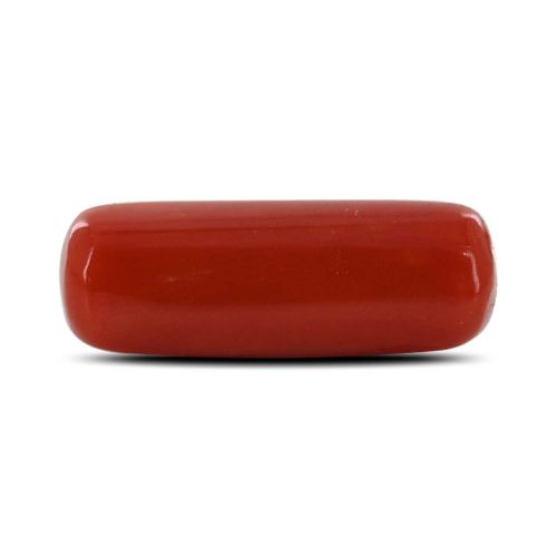 Red Coral (Moonga) - 6.45 Carat 