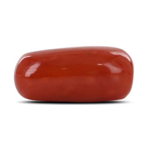 Red Coral (Moonga) - 7.44 Carat 