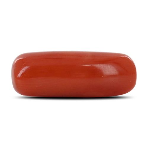 Red Coral (Moonga) - 7.6 Carat 