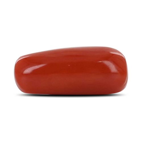 Red Coral (Moonga) - 7.97 Carat 