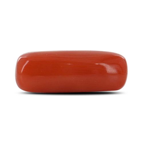 Red Coral (Moonga) - 7.16 Carat 