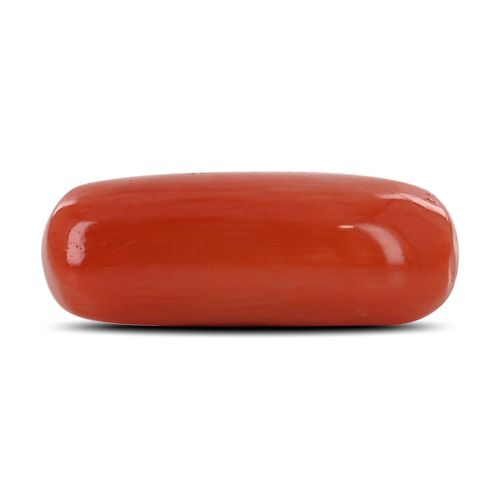 Red Coral (Moonga) - 7.14 Carat 