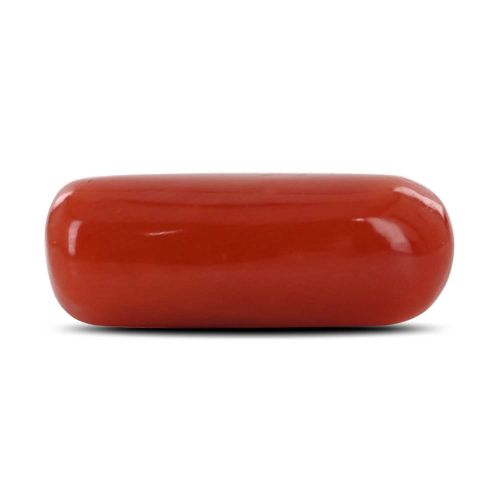 Red Coral (Moonga) - 7.33 Carat 