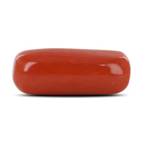 Red Coral (Moonga) - 7.69 Carat 