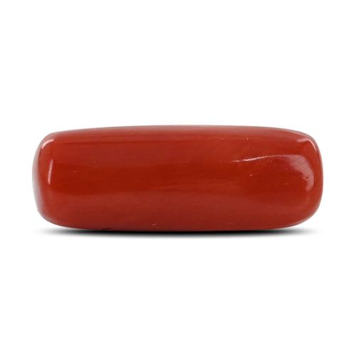 Red Coral (Moonga) - 6.61 Carat 