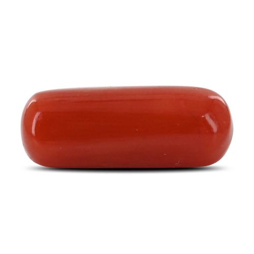 Red Coral (Moonga) - 3.91 Carat 