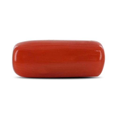 Red Coral (Moonga) - 4.41 Carat 