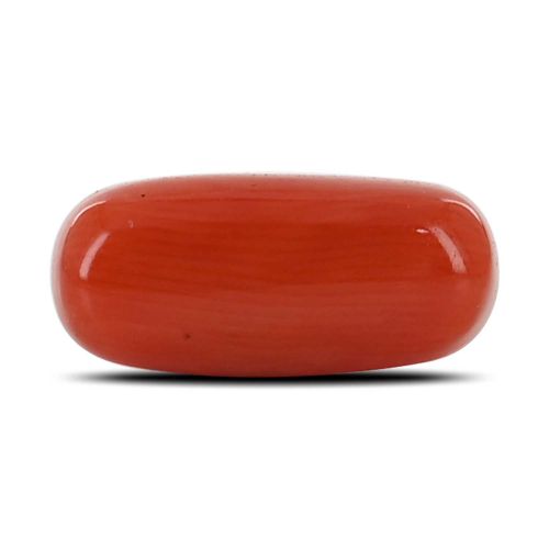 Red Coral (Moonga) - 3.88 Carat 