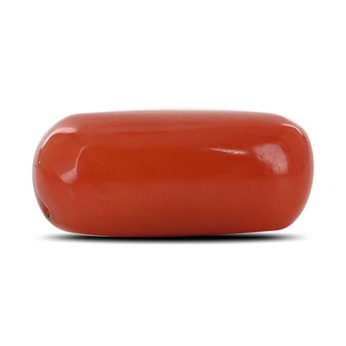 Red Coral (Moonga) - 3.71 Carat 