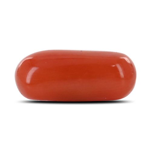 Red Coral (Moonga) - 3.35 Carat 