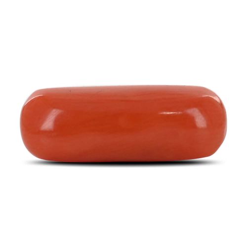 Red Coral (Moonga) - 3.81 Carat 