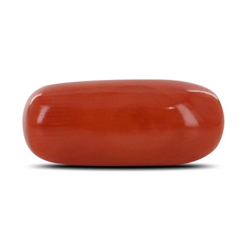 Red Coral (Moonga) - 4.16 Carat 