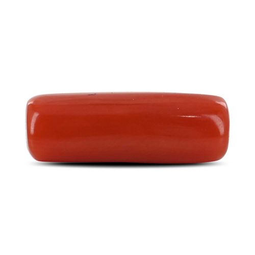 Red Coral (Moonga) - 4.18 Carat 