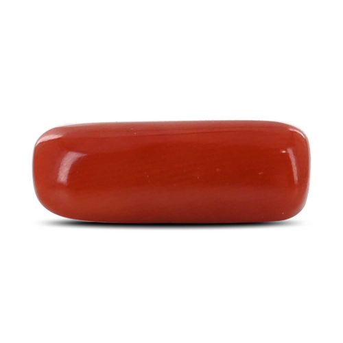 Red Coral (Moonga) - 4.18 Carat 