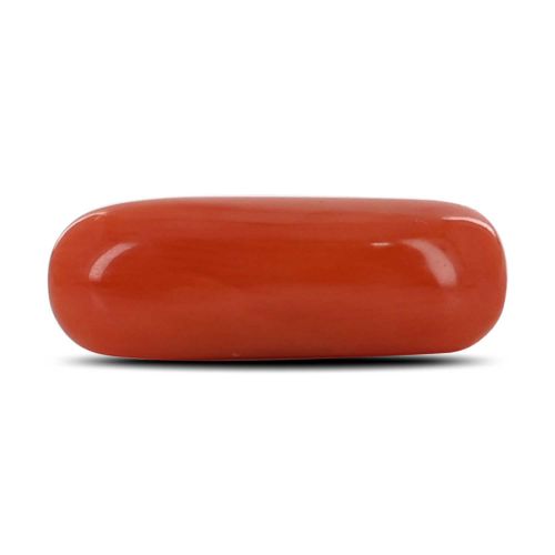 Red Coral (Moonga) - 4.07 Carat 