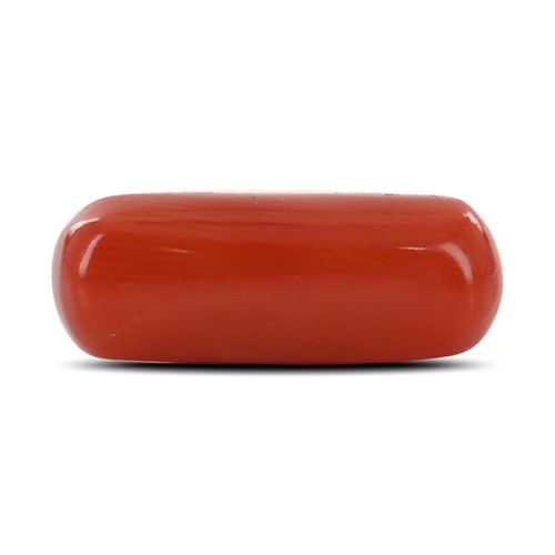 Red Coral (Moonga) - 4.46 Carat 