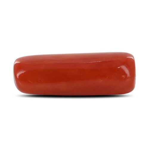 Red Coral (Moonga) - 4.33 Carat 