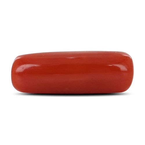 Red Coral (Moonga) - 4.33 Carat 