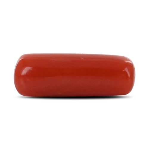 Red Coral (Moonga) - 4.18 Carat 