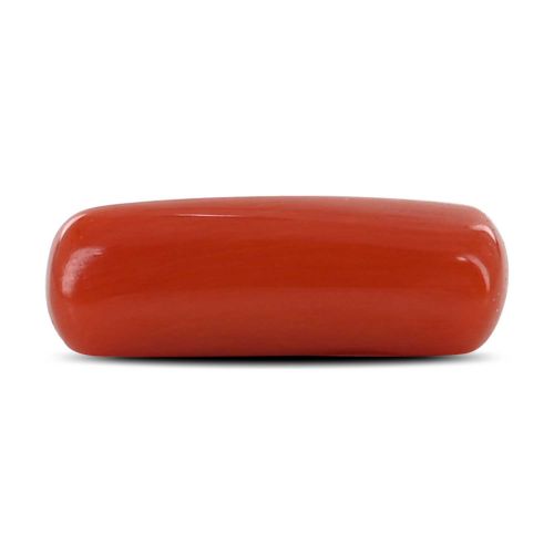 Red Coral (Moonga) - 4.48 Carat 