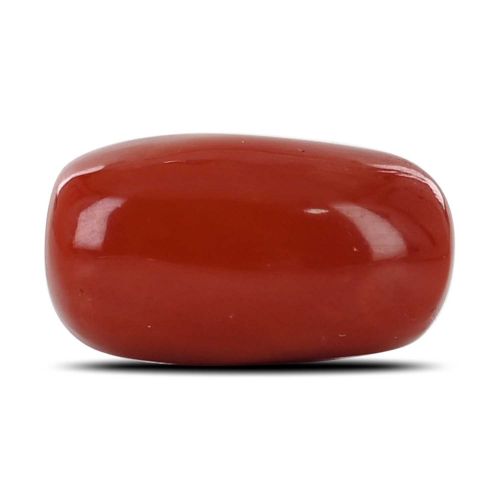 Red Coral (Moonga) - 18.61 Carat 