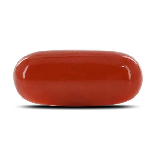 Red Coral (Moonga) - 10.43 Carat 