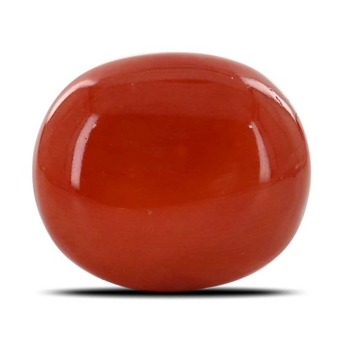 Red Coral (Moonga) - 30.6 Carat 