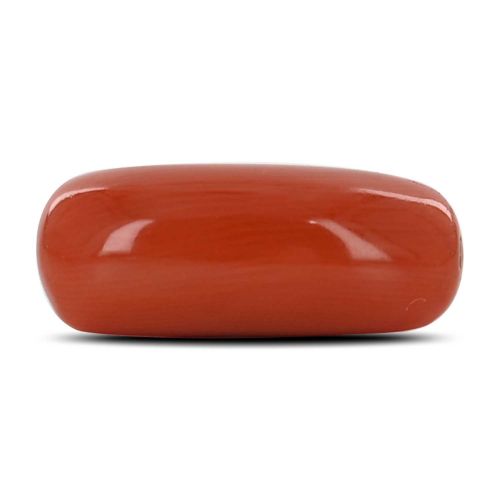 Red Coral (Moonga) - 9.44 Carat 