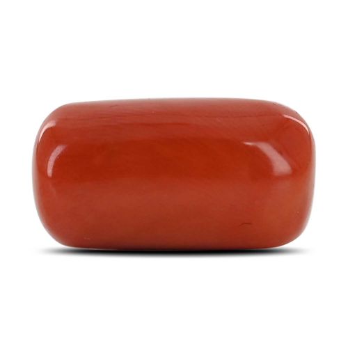 Red Coral (Moonga) - 16.16 Carat 