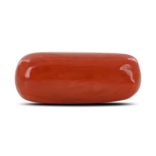 Red Coral (Moonga) - 8.84 Carat 