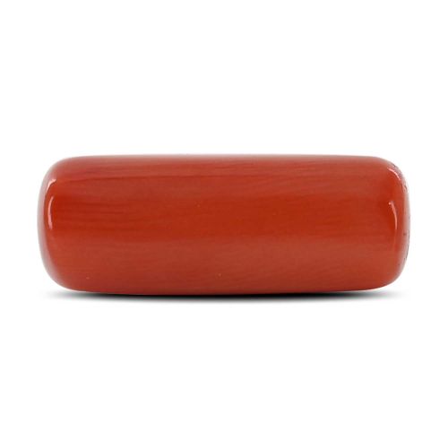 Red Coral (Moonga) - 8.03 Carat 