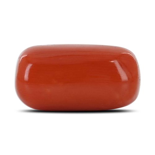 Red Coral (Moonga) - 10.69 Carat 