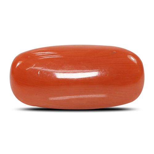 Red Coral (Moonga) - 8.83 Carat 