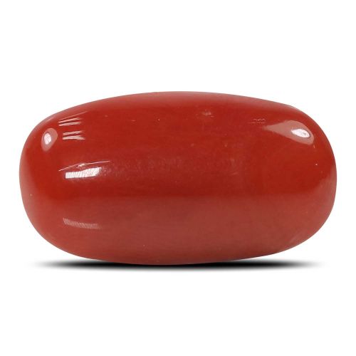 Red Coral (Moonga) - 6.68 Carat 