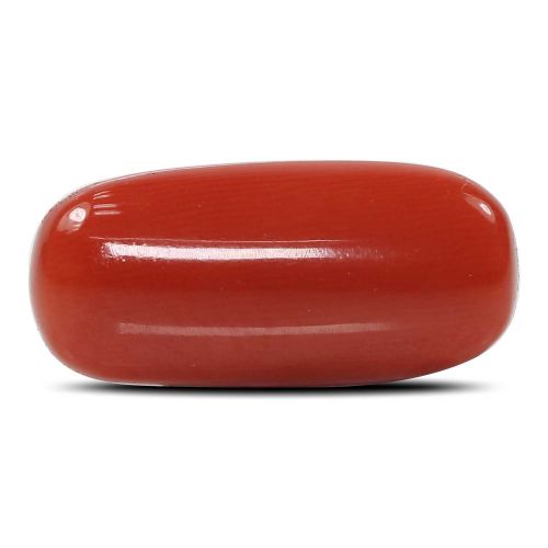 Red Coral (Moonga) - 6.8 Carat 