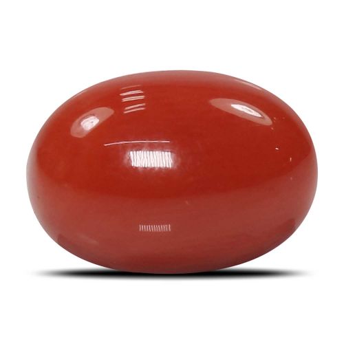 Red Coral (Moonga) - 5.88 Carat 