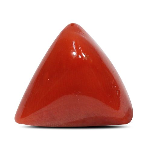 Red Coral (Moonga) - 9.11 Carat 